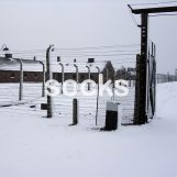 Socks, 2011 Digital Print/Canvas 21,6 x 21,6 inches (55x55cm)