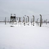 Dress, 2011 Digital Print/Canvas 21,6 x 21,6 inches (55x55cm)