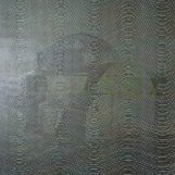 Shelter, 1999. Oil and omnicrom marker/wood. 94,5x87,7 inchs.