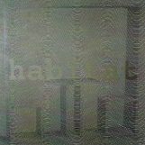 Habitat, 1999. Oil and omnicrom marker/wood. 94,5x87,7 inchs.