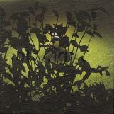 Nothingness, 2005. Oil and omnicrom marker/canvas. 87,7x87,7 inchs.