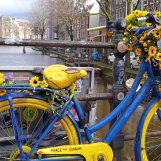 WhatsApp Image 2025-02-27 at 23.01.52